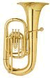 tuba